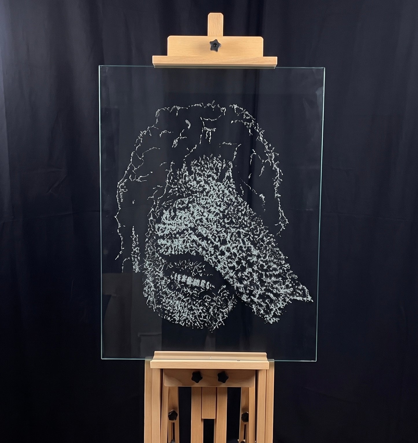 Jamals MJ Portraits